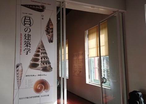 貝の建築学.jpg